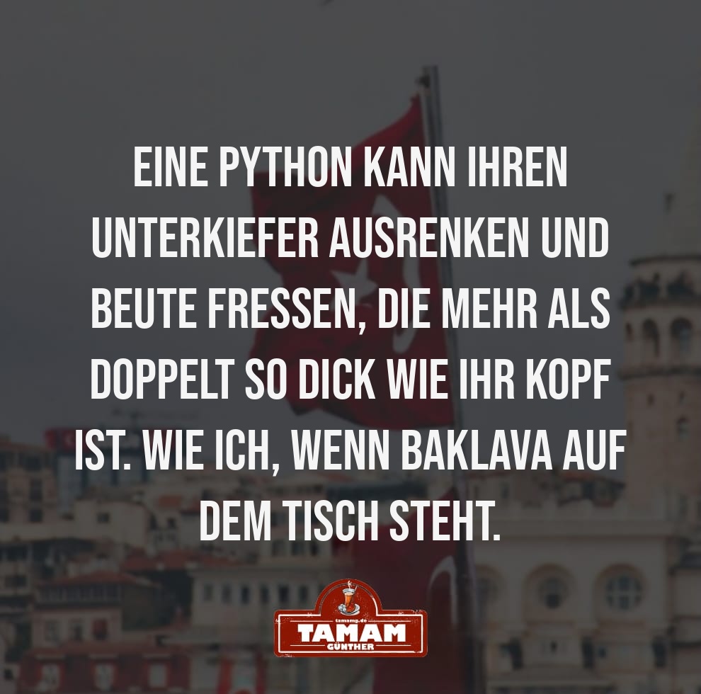 BAKLAVA UND DIE KÜNSTLICHE INTELLIGENZ