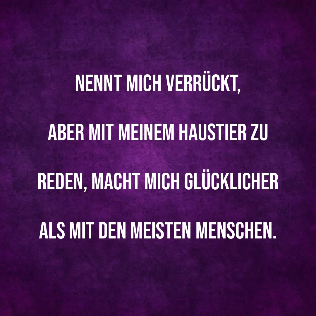 WARUM HAUSTIERE UNSERE BESTEN FREUNDE SIND