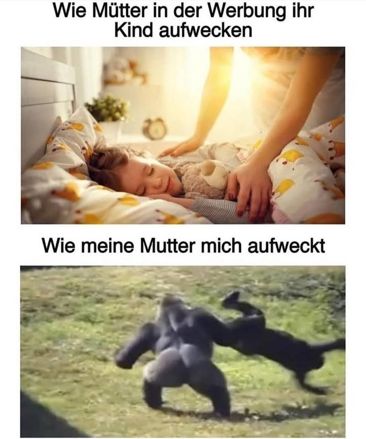 BILD-BEITRAG