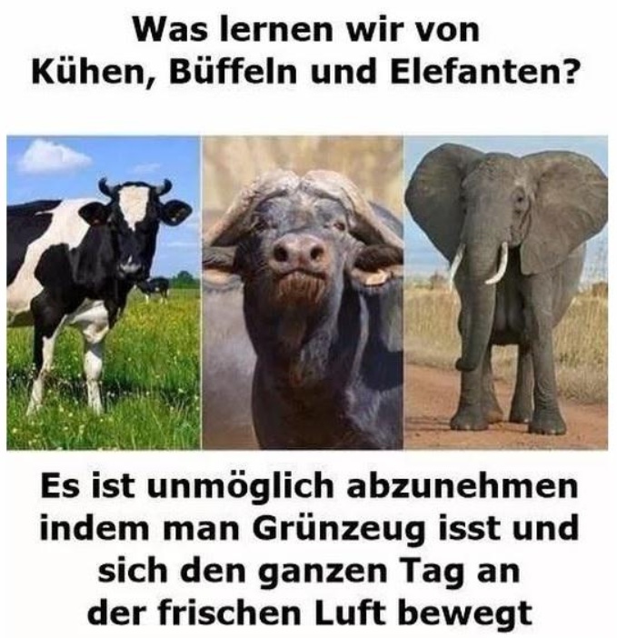 BILD-BEITRAG