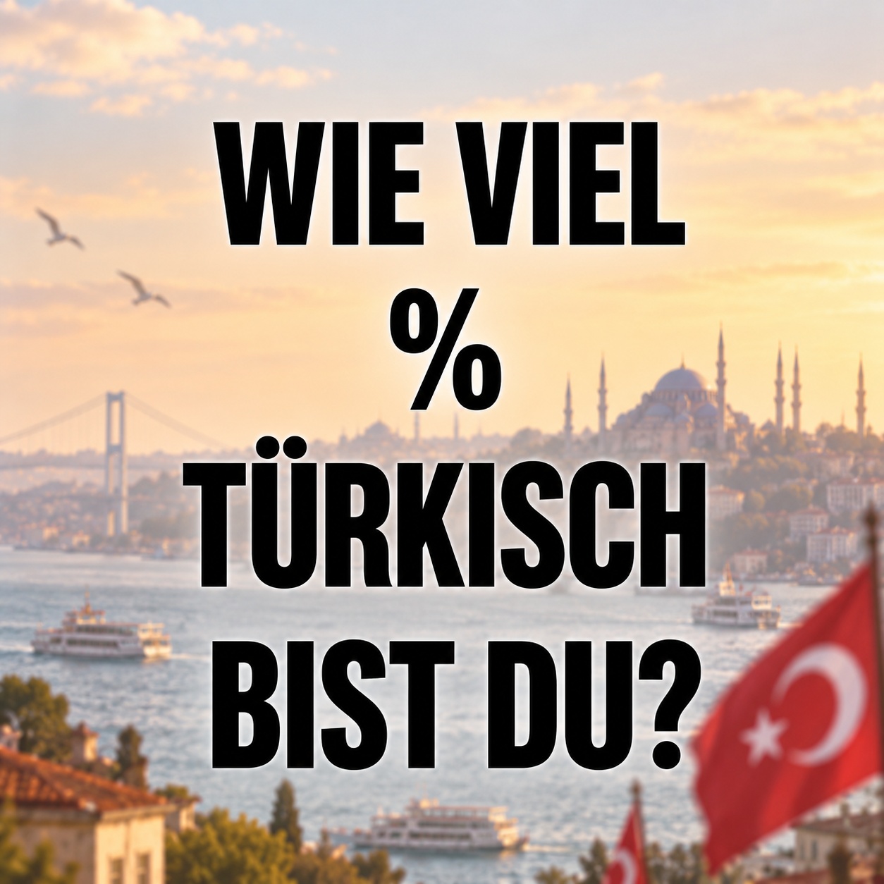BILD-BEITRAG