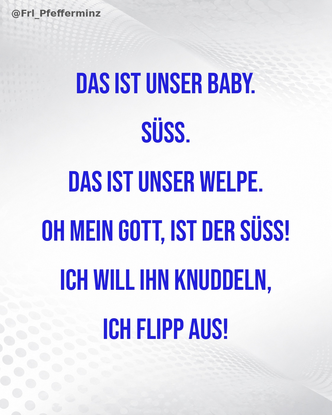 DER UNTERSCHIED ZWISCHEN BABY UND WELPE