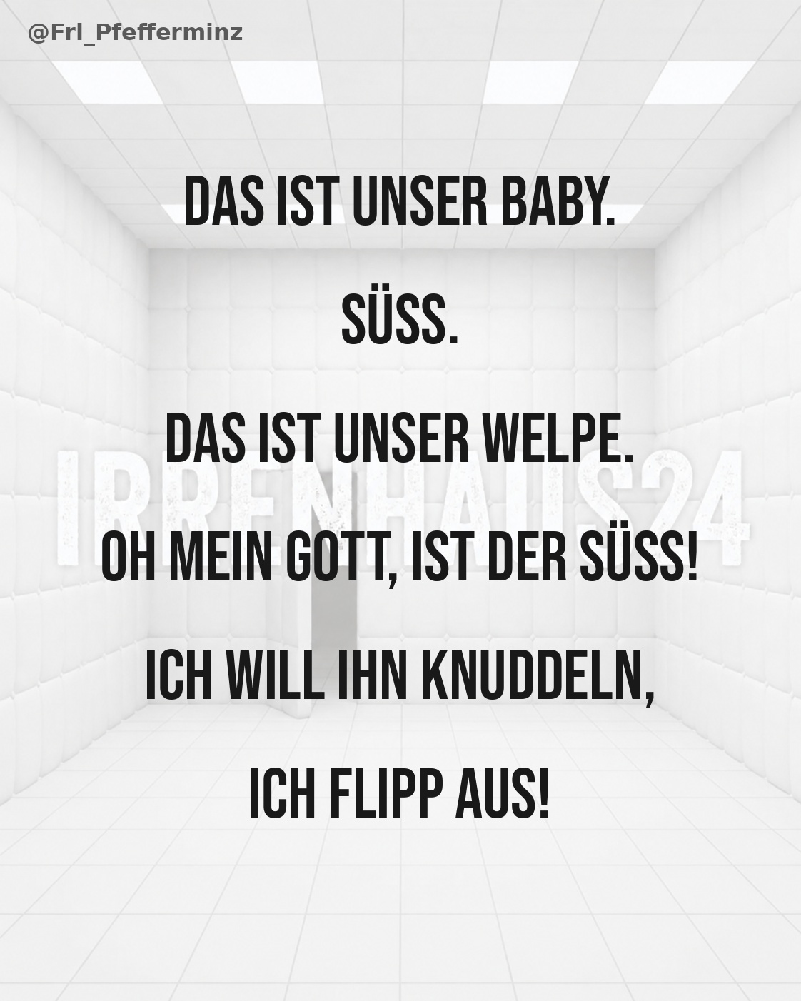 DER UNTERSCHIED ZWISCHEN BABY UND WELPE