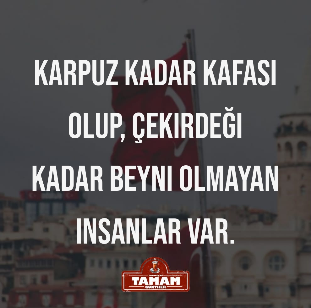 VAY VAY